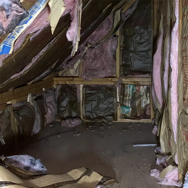 WE offer Attic Cleanup for wildlife in VA, MD, DC